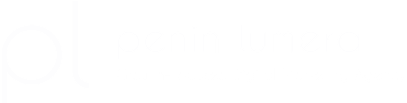 Penin Lumera &mdash; Digital Marketing Agency Kerala